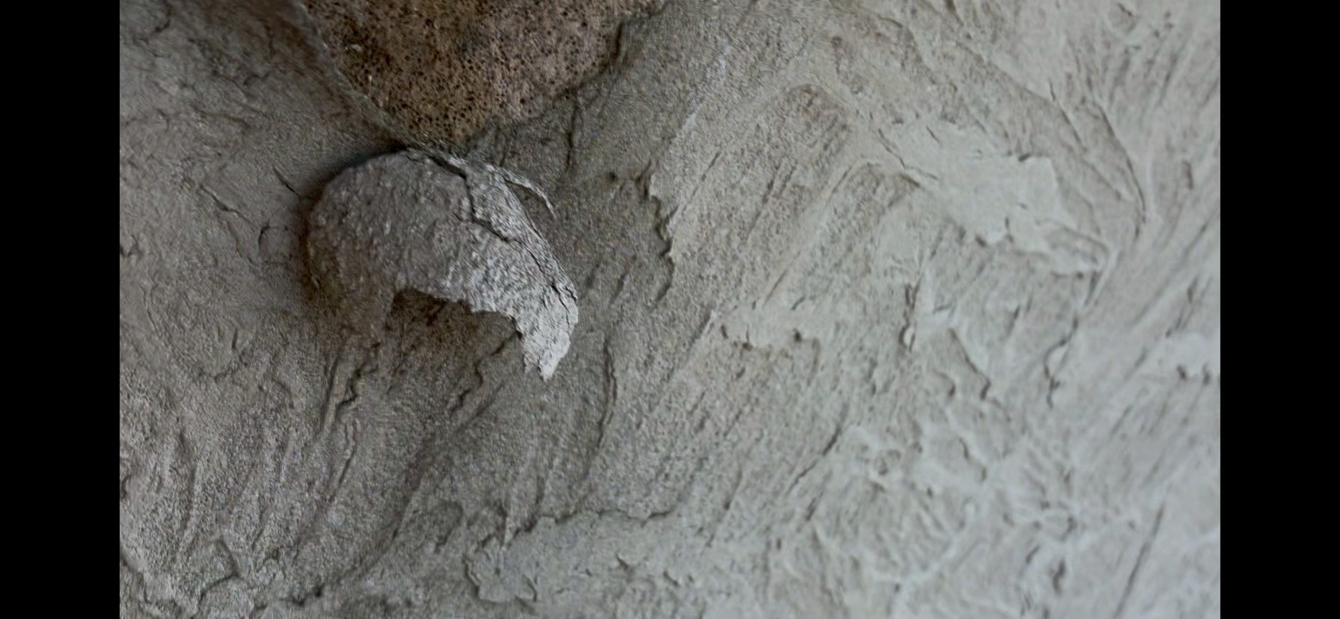 ベージュ色の塗装がめくれた外壁